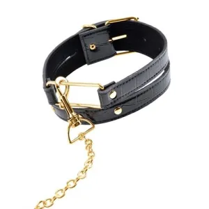 Fetish Fantasy Gold Collar and Leash - Black