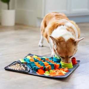 Messy Mutts Square Forage/Snuffle Mat 16" with Suction