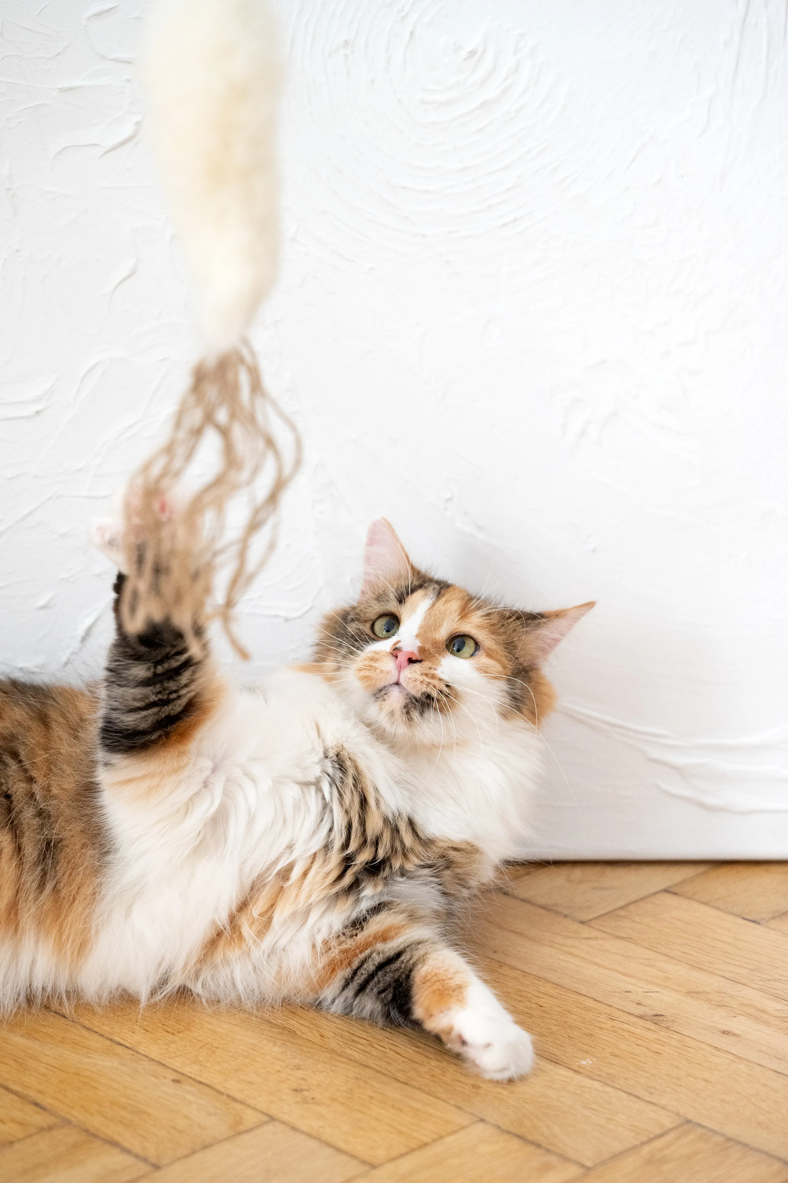 Natural Sheepskin Cat Toy: Fish