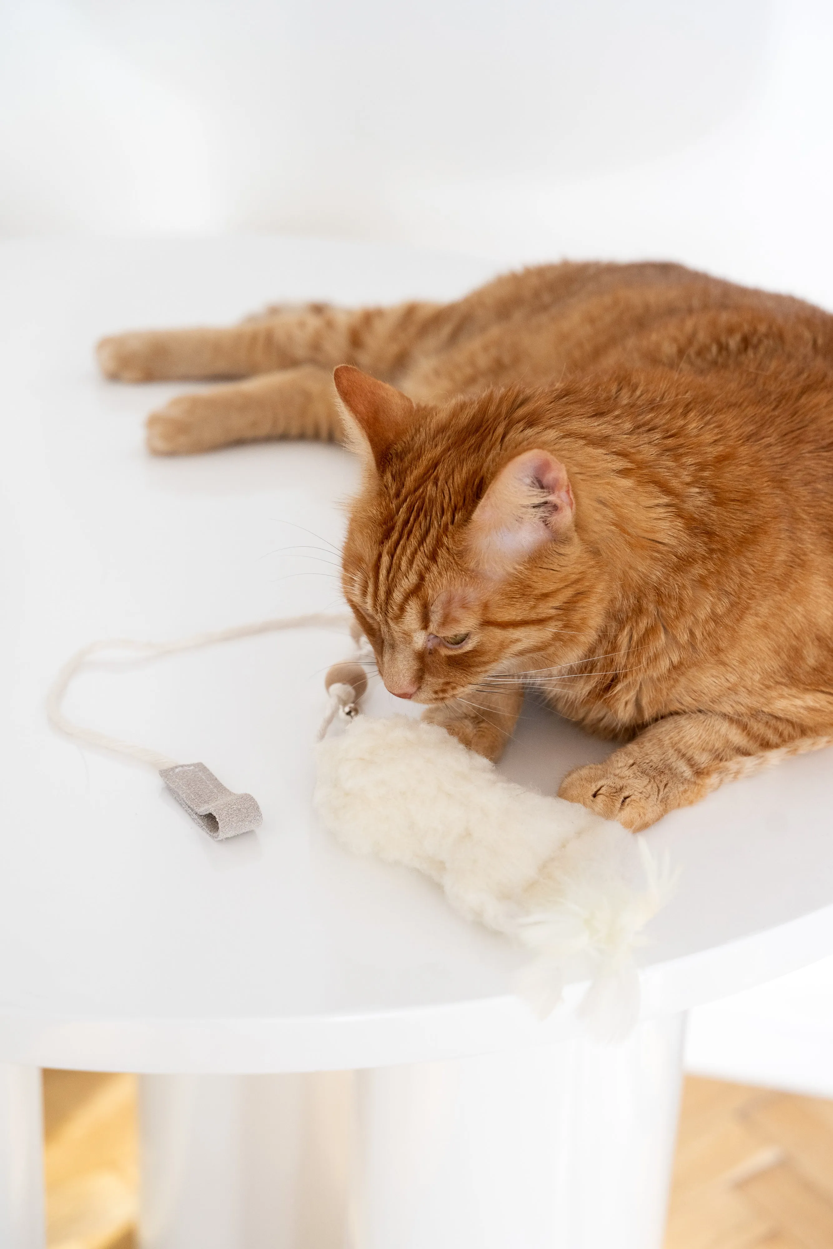 Natural Sheepskin Cat Toy: Fish