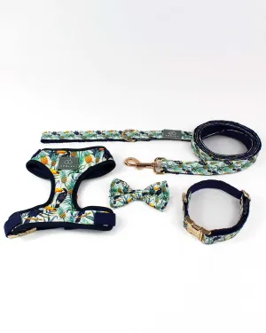 Tropical Jungle Dog Walk Set